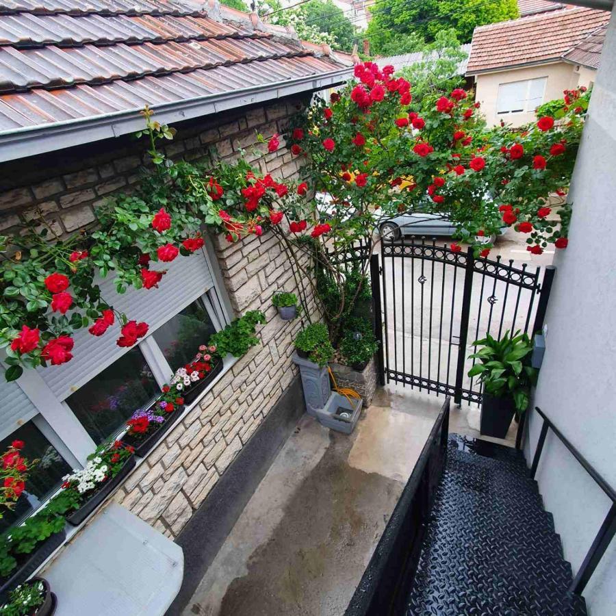 Fortress Apartments Ni Εξωτερικό φωτογραφία