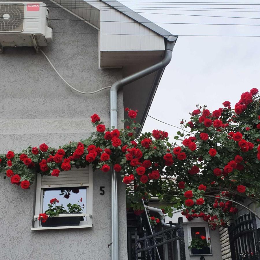 Fortress Apartments Ni Εξωτερικό φωτογραφία