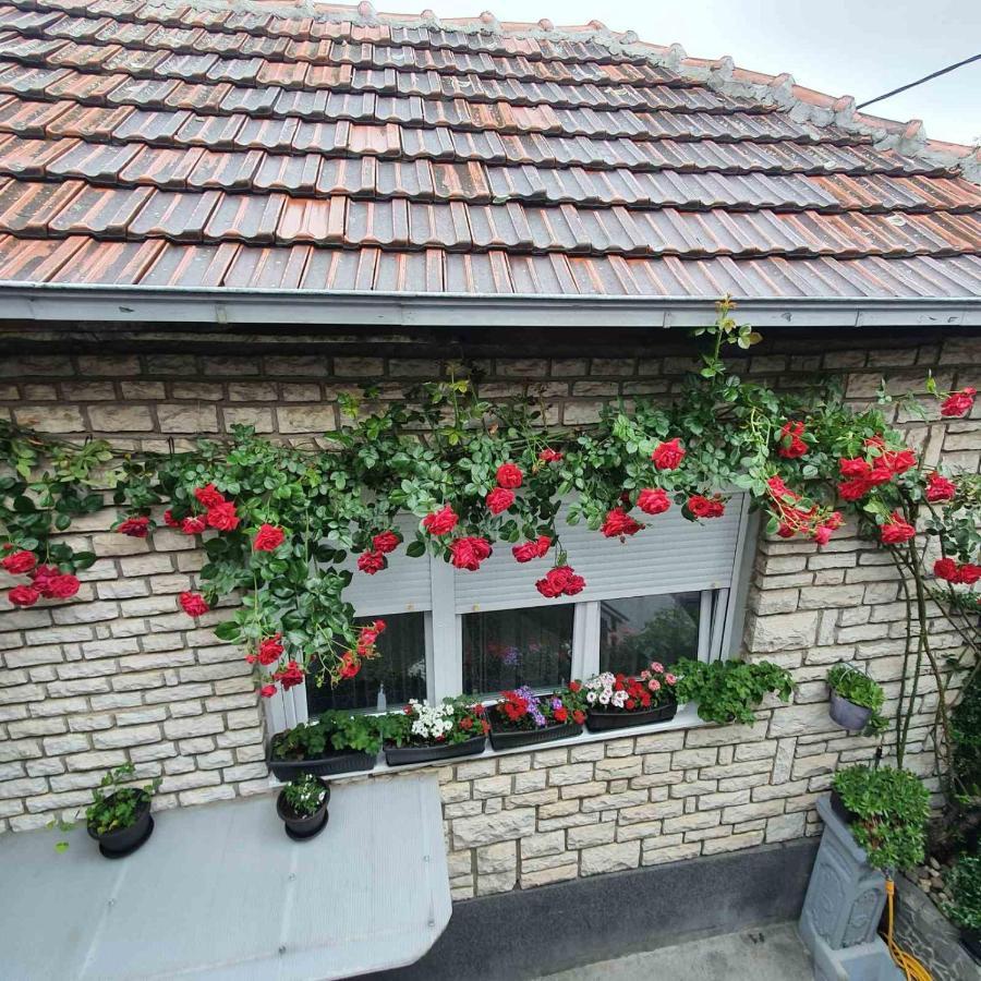 Fortress Apartments Ni Εξωτερικό φωτογραφία